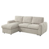 Nuriel Reversible Sectional Sofa w/Sleeper & Storage / LV07550