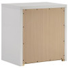 Viana Contemporary 2-Drawer Nightstand with Chrome Pulls White High Gloss / CS-225212