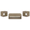 Ingram 3-Piece Coffee and End Table Set with Storage Latte / CS-710978-S3