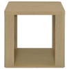 Alsina Square End Table with Open Shelf Greige / CS-711017