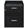 Furda 2-drawer LED Nightstand Bedside Table with Speaker Black Ash / CS-306132BLK