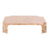 Nasrin - Modern Burl Square Coffee Table / VGOD-LZ-425C-L-BURL