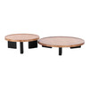 Reza - Modern Burl + Black Nesting Coffee Table Set / VGOD-LZ-336C-L-LC-336C-H-SET