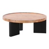 Reza - Modern Burl + Black Nesting Coffee Table Set / VGOD-LZ-336C-L-LC-336C-H-SET