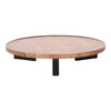 Reza - Modern Burl + Black Nesting Coffee Table Set / VGOD-LZ-336C-L-LC-336C-H-SET