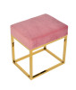 Modrest Downey Modern Pink Velvet & Gold Stool Ottoman / VGFH-FDC8016-PNK