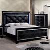 BELLANOVA Queen Bed / CM7979BK-Q-BED