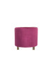 Divani Casa Anthony Modern Pink & Gold Accent Chair / VGZAZCS600-1-PNK