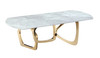 Modrest Colton - Modern Gray Microlite & Gold Dining Table / VGZAT112-GRY
