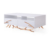 Modrest Legend - Modern White & Rosegold Coffee Table / VGVCCT8111-WHTX-RGOLD-CT