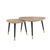 Allison Nesting Table Set / 83230