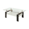 Dyer Tempered Glass Coffee Table with Shelf Black / CS-702288