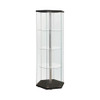 Zahavah 4-shelf Hexagon Shaped Curio Cabinet Black and Clear / CS-950276