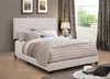 Boyd Upholstered Queen Panel Bed Ivory / CS-350051Q