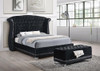 Barzini Upholstered Queen Wingback Bed Black / CS-300643Q