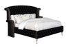 Deanna Upholstered Queen Wingback Bed Black / CS-206101Q