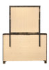 Woodmont Rectangle Dresser Mirror Rustic Golden Brown / CS-222634