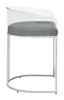 Thermosolis Acrylic Back Counter Height Stools Grey and Chrome (Set of 2) / CS-183405
