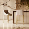 Modrest Mimi - Contemporary Beige and Brass Counter Stool (Set of 2) / VGGA-6544CH-C-GRY-CS