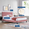 Roxanne Performance Velvet Queen Platform Bed / MOD-6285