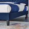 Roxanne Performance Velvet Queen Platform Bed / MOD-6285