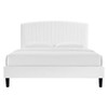 Alessi Performance Velvet Queen Platform Bed / MOD-6283