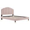 Daisy Performance Velvet Queen Platform Bed / MOD-6288