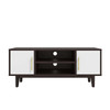 Daxton 43" TV Stand / EEI-4309