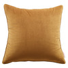 Enhance 20" Performance Velvet Throw Pillow / EEI-4699