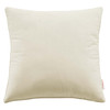 Enhance 20" Performance Velvet Throw Pillow / EEI-4699