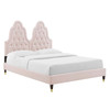 Alexandria Tufted Performance Velvet Full Platform Bed / MOD-6935