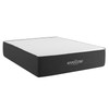 Aveline 16" Memory Foam Queen Mattress / MOD-6608