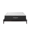 Aveline 12" Memory Foam Queen Mattress / MOD-6600