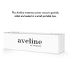 Aveline 12" Memory Foam Queen Mattress / MOD-6600