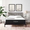 Aveline 12" Memory Foam Full Mattress / MOD-6599