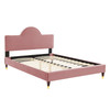 Aurora Performance Velvet Full Bed / MOD-7031