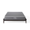 Mila 8" Queen Mattress / MOD-6258