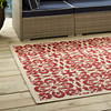 Ariana Vintage Floral Trellis 5x8 Indoor and Outdoor Area Rug / R-1142-58