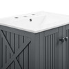 Steam 24" Bathroom Vanity / EEI-4248