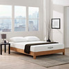 Aveline 8" Queen Mattress / MOD-5343