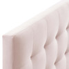 Lily King Biscuit Tufted Performance Velvet Headboard / MOD-6121