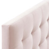 Lily Biscuit Tufted Full Performance Velvet Headboard / MOD-6119