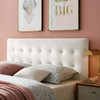 Emily King Biscuit Tufted Performance Velvet Headboard / MOD-6117