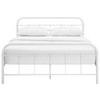 Maisie Queen Stainless Steel Bed Frame / MOD-5533