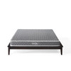 Mila 6" Queen Mattress / MOD-5735