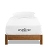 Aveline 10" Twin Mattress / MOD-5487