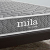 Mila 6" Twin Mattress / MOD-5560