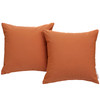 Summon 2 Piece Outdoor Patio Sunbrella® Pillow Set / EEI-2002