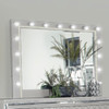 Eleanor Metallic Rectangular Dresser Mirror with Light / CS-223464