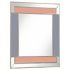 Braylin Rectangular Wall Mirror Champagne and Grey / CS-962907